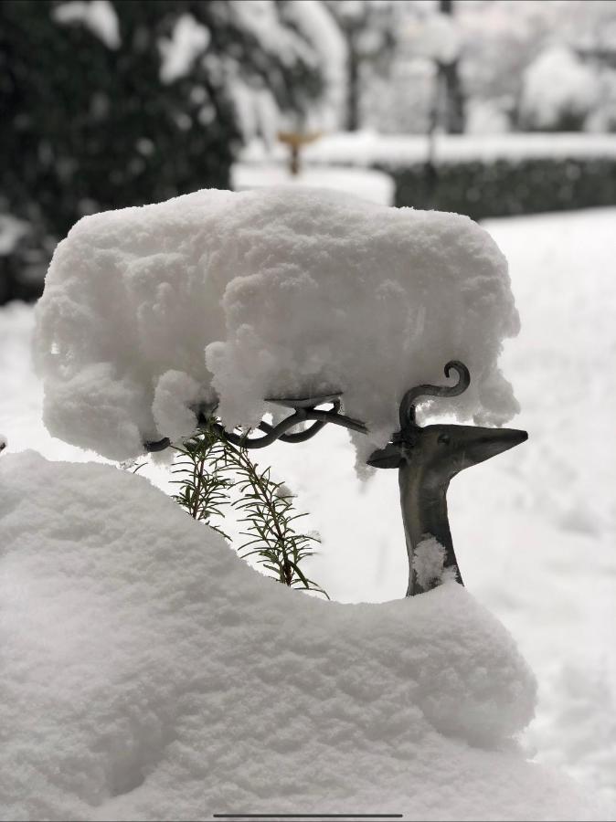 Il Pioppo Antico Apartman Viggiù Kültér fotó