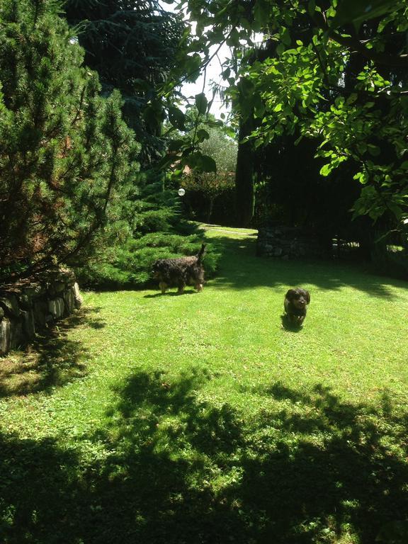 Il Pioppo Antico Apartman Viggiù Kültér fotó